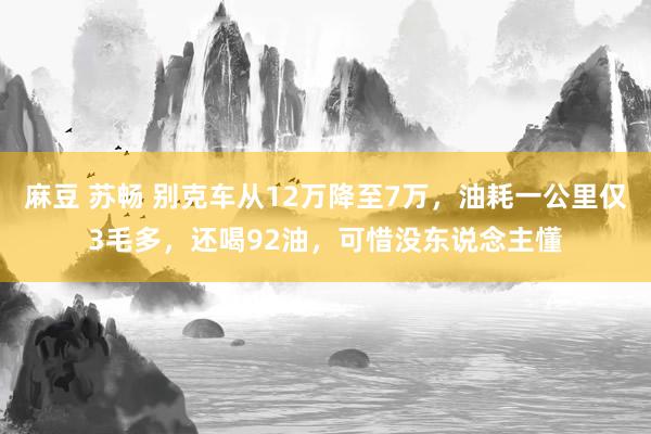 麻豆 苏畅 别克车从12万降至7万，油耗一公里仅3毛多，还喝92油，可惜没东说念主懂