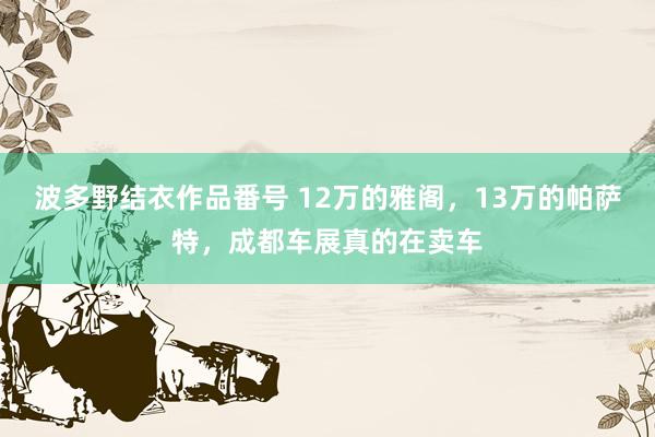 波多野结衣作品番号 12万的雅阁，13万的帕萨特，成都车展真的在卖车