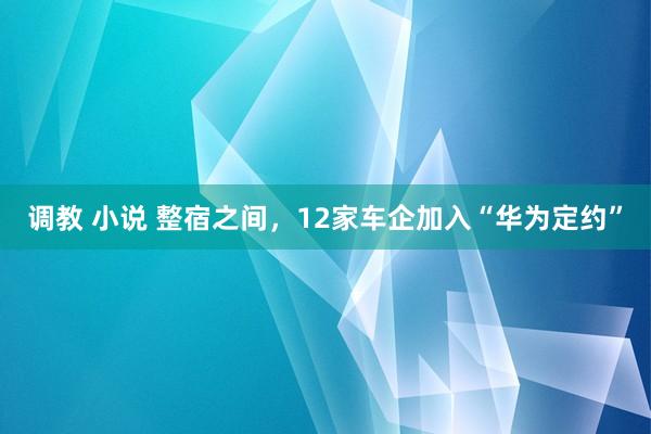 调教 小说 整宿之间，12家车企加入“华为定约”