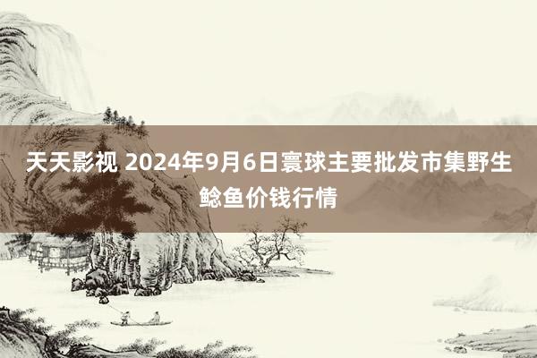 天天影视 2024年9月6日寰球主要批发市集野生鲶鱼价钱行情