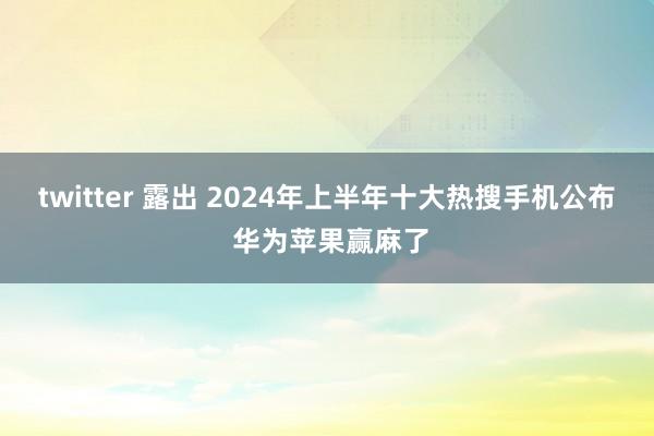 twitter 露出 2024年上半年十大热搜手机公布 华为苹果赢麻了