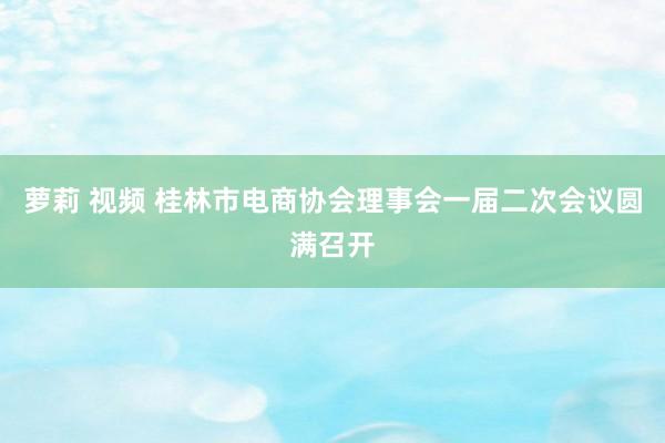 萝莉 视频 桂林市电商协会理事会一届二次会议圆满召开