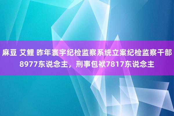 麻豆 艾鲤 昨年寰宇纪检监察系统立案纪检监察干部8977东说念主，刑事包袱7817东说念主