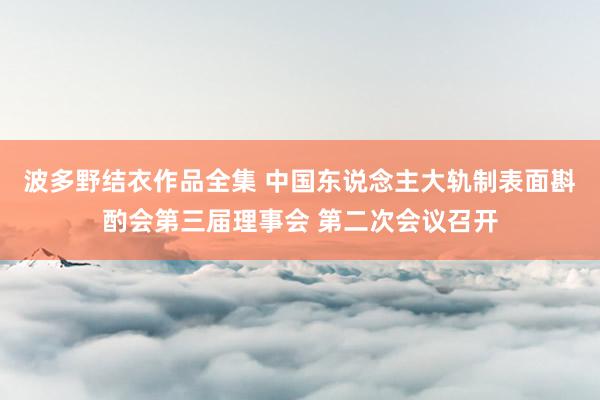 波多野结衣作品全集 中国东说念主大轨制表面斟酌会第三届理事会 第二次会议召开