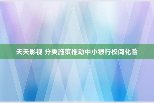 天天影视 分类施策推动中小银行校阅化险