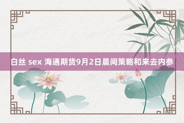 白丝 sex 海通期货9月2日晨间策略和来去内参