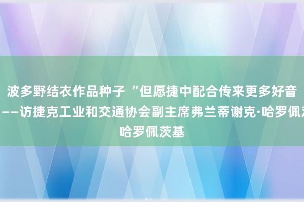 波多野结衣作品种子 “但愿捷中配合传来更多好音问”——访捷克工业和交通协会副主席弗兰蒂谢克·哈罗佩茨基