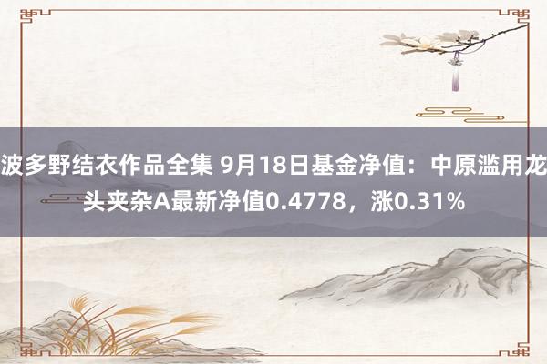 波多野结衣作品全集 9月18日基金净值：中原滥用龙头夹杂A最新净值0.4778，涨0.31%