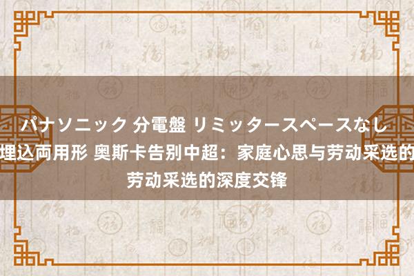 パナソニック 分電盤 リミッタースペースなし 露出・半埋込両用形 奥斯卡告别中超：家庭心思与劳动采选的深度交锋