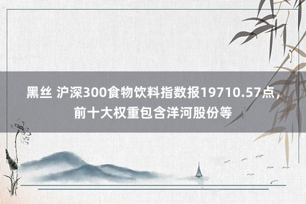 黑丝 沪深300食物饮料指数报19710.57点，前十大权重包含洋河股份等