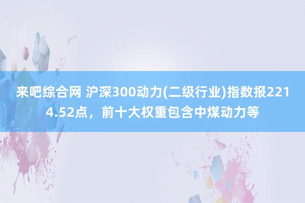 来吧综合网 沪深300动力(二级行业)指数报2214.52点，前十大权重包含中煤动力等