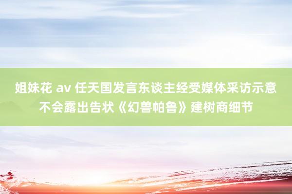 姐妹花 av 任天国发言东谈主经受媒体采访示意不会露出告状《幻兽帕鲁》建树商细节