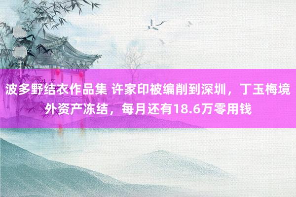 波多野结衣作品集 许家印被编削到深圳，丁玉梅境外资产冻结，每月还有18.6万零用钱