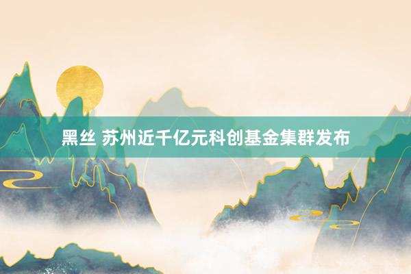 黑丝 苏州近千亿元科创基金集群发布