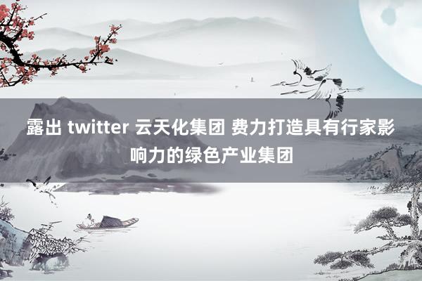 露出 twitter 云天化集团 费力打造具有行家影响力的绿色产业集团