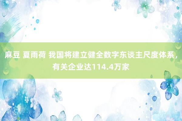 麻豆 夏雨荷 我国将建立健全数字东谈主尺度体系，有关企业达114.4万家