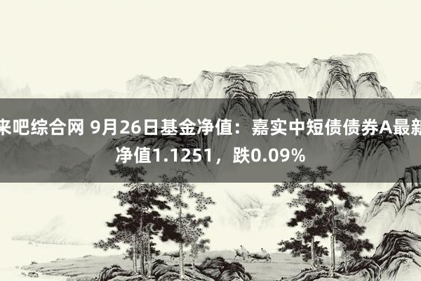 来吧综合网 9月26日基金净值：嘉实中短债债券A最新净值1.1251，跌0.09%