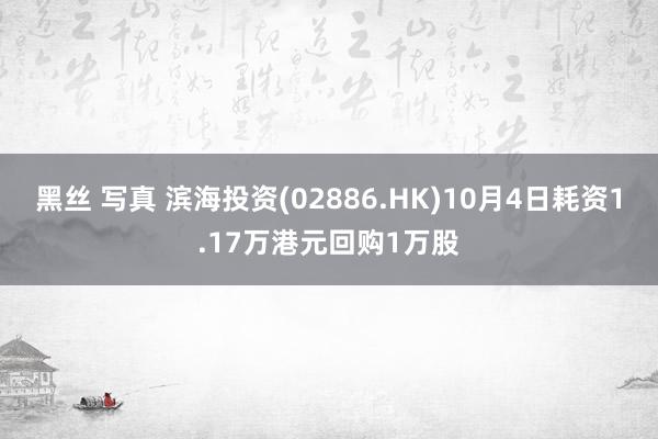 黑丝 写真 滨海投资(02886.HK)10月4日耗资1.17万港元回购1万股