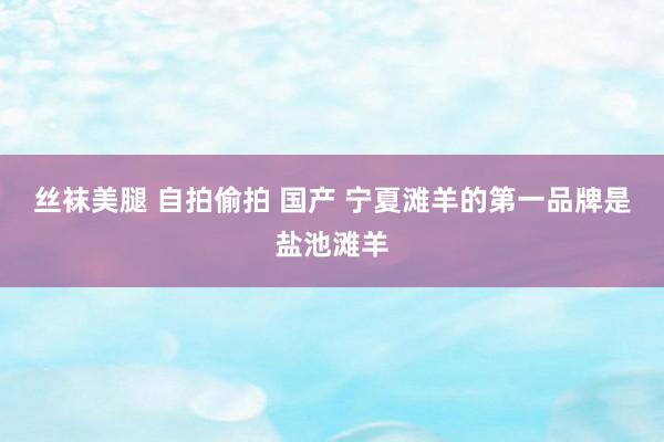 丝袜美腿 自拍偷拍 国产 宁夏滩羊的第一品牌是盐池滩羊