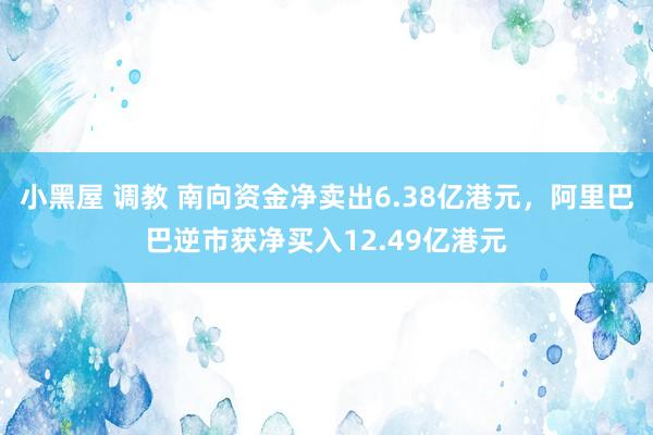 小黑屋 调教 南向资金净卖出6.38亿港元，阿里巴巴逆市获净买入12.49亿港元