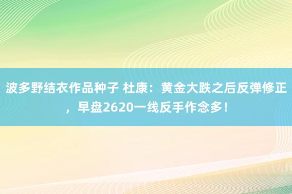 波多野结衣作品种子 杜康：黄金大跌之后反弹修正，早盘2620一线反手作念多！