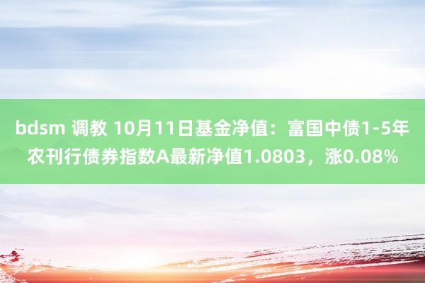 bdsm 调教 10月11日基金净值：富国中债1-5年农刊行债券指数A最新净值1.0803，涨0.08%