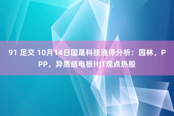 91 足交 10月14日国晟科技涨停分析：园林，PPP，异质结电板HJT观点热股