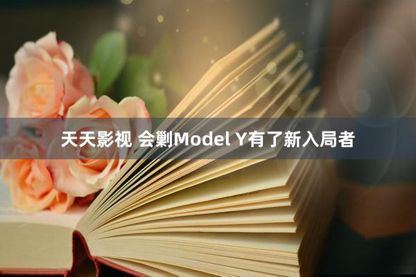 天天影视 会剿Model Y有了新入局者