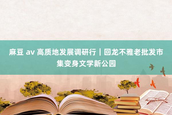 麻豆 av 高质地发展调研行｜回龙不雅老批发市集变身文学新公园