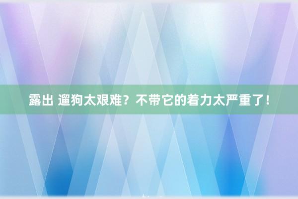 露出 遛狗太艰难？不带它的着力太严重了！