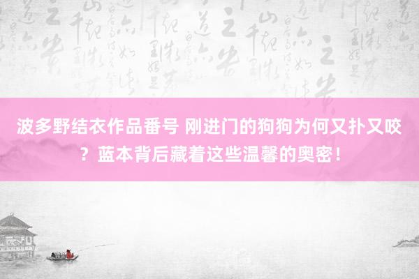 波多野结衣作品番号 刚进门的狗狗为何又扑又咬？蓝本背后藏着这些温馨的奥密！