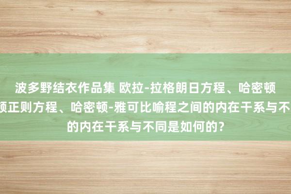 波多野结衣作品集 欧拉-拉格朗日方程、哈密顿旨趣、哈密顿正则方程、哈密顿-雅可比喻程之间的内在干系与不同是如何的？