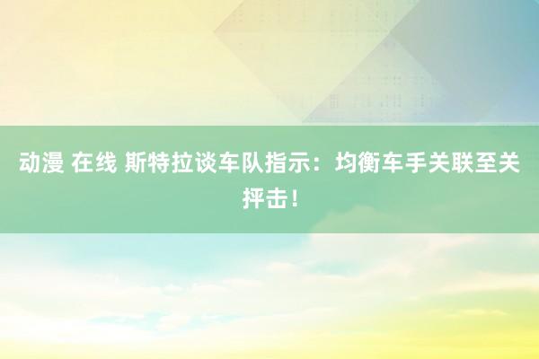 动漫 在线 斯特拉谈车队指示：均衡车手关联至关抨击！