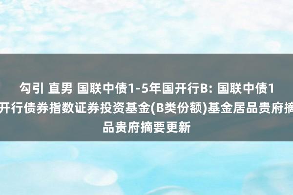 勾引 直男 国联中债1-5年国开行B: 国联中债1-5年国开行债券指数证券投资基金(B类份额)基金居品贵府摘要更新