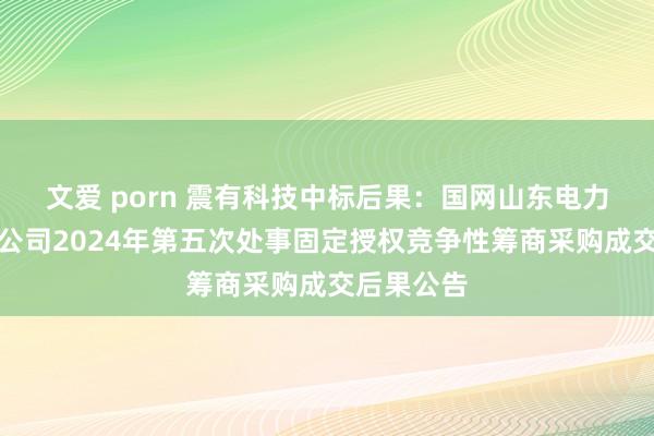 文爱 porn 震有科技中标后果：国网山东电力青岛供电公司2024年第五次处事固定授权竞争性筹商采购成交后果公告