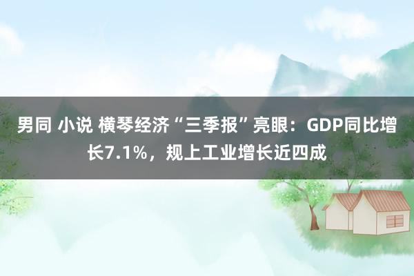 男同 小说 横琴经济“三季报”亮眼：GDP同比增长7.1%，规上工业增长近四成