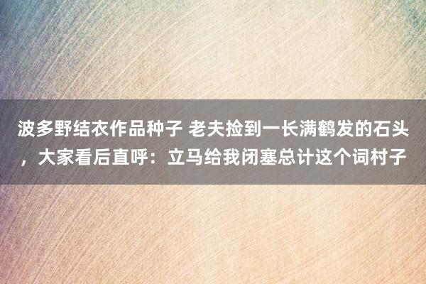 波多野结衣作品种子 老夫捡到一长满鹤发的石头，大家看后直呼：立马给我闭塞总计这个词村子