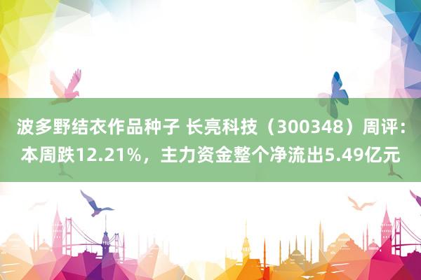 波多野结衣作品种子 长亮科技（300348）周评：本周跌12.21%，主力资金整个净流出5.49亿元