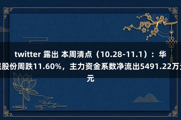 twitter 露出 本周清点（10.28-11.1）：华民股份周跌11.60%，主力资金系数净流出5491.22万元