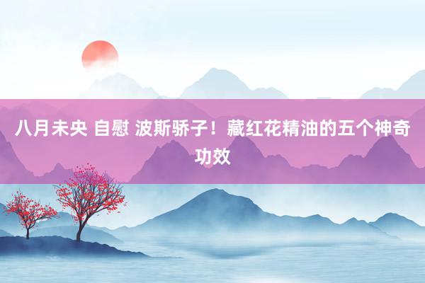 八月未央 自慰 波斯骄子！藏红花精油的五个神奇功效