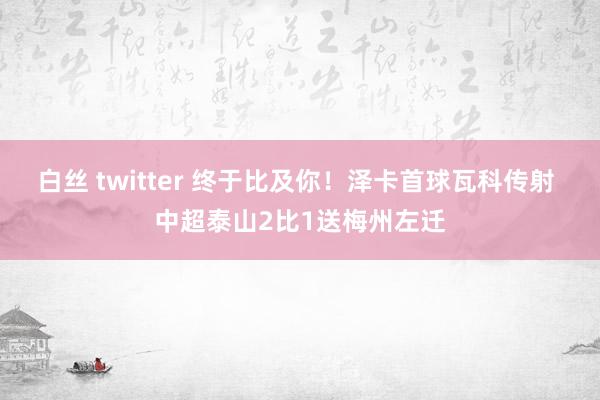 白丝 twitter 终于比及你！泽卡首球瓦科传射 中超泰山2比1送梅州左迁