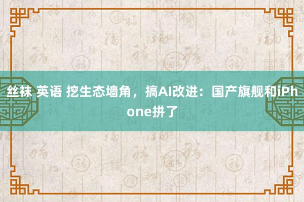 丝袜 英语 挖生态墙角，搞AI改进：国产旗舰和iPhone拼了