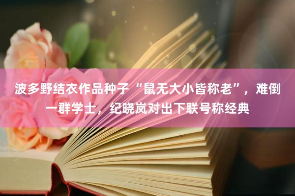 波多野结衣作品种子 “鼠无大小皆称老”，难倒一群学士，纪晓岚对出下联号称经典