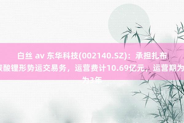 白丝 av 东华科技(002140.SZ)：承担扎布耶碳酸锂形势运交易务，运营费计10.69亿元，运营期为3年