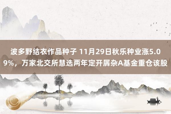 波多野结衣作品种子 11月29日秋乐种业涨5.09%，万家北交所慧选两年定开羼杂A基金重仓该股