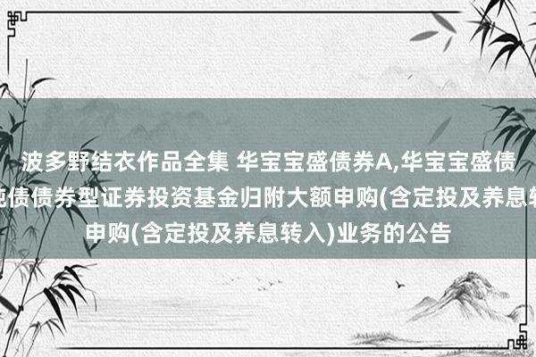 波多野结衣作品全集 华宝宝盛债券A，华宝宝盛债券C: 华宝宝盛纯债债券型证券投资基金归附大额申购(含定投及养息转入)业务的公告