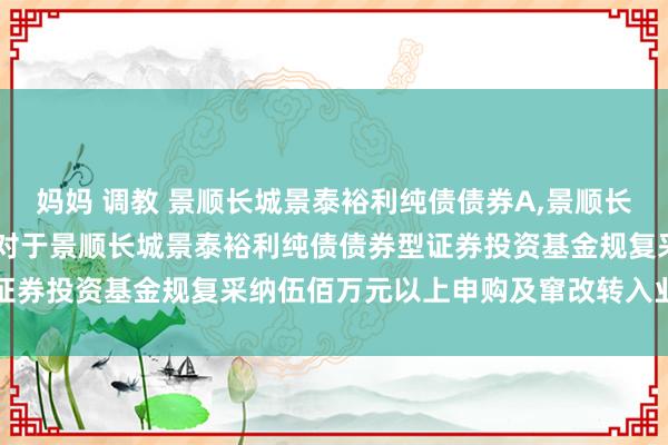 妈妈 调教 景顺长城景泰裕利纯债债券A，景顺长城景泰裕利纯债债券C: 对于景顺长城景泰裕利纯债债券型证券投资基金规复采纳伍佰万元以上申购及窜改转入业务的公告