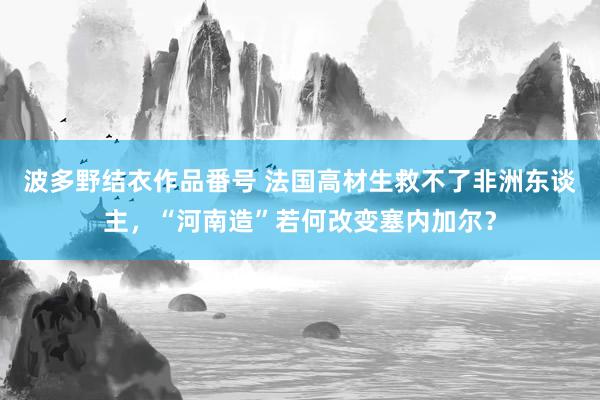 波多野结衣作品番号 法国高材生救不了非洲东谈主，“河南造”若何改变塞内加尔？