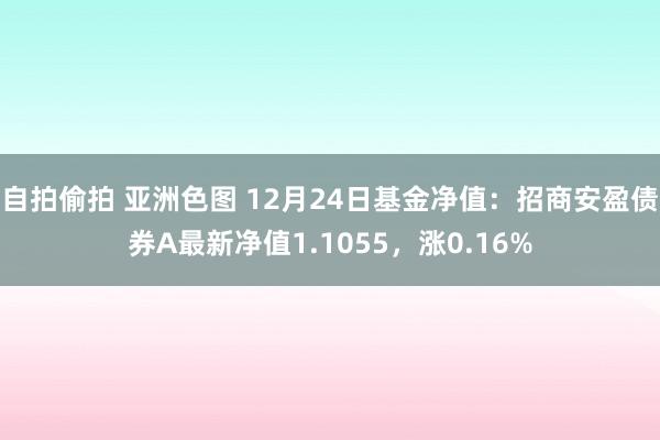 自拍偷拍 亚洲色图 12月24日基金净值：招商安盈债券A最新净值1.1055，涨0.16%