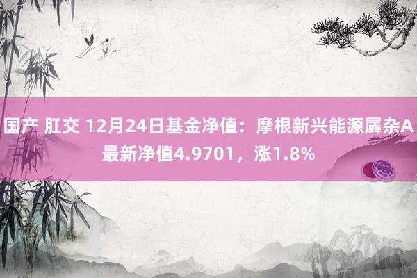 国产 肛交 12月24日基金净值：摩根新兴能源羼杂A最新净值4.9701，涨1.8%